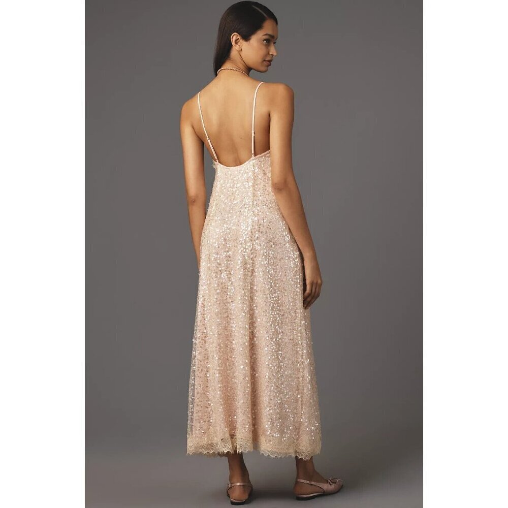 Anthropologie En Elly Sleeveless V-Neck Lace Sequin Slip Midi Dress S - Picture 3 of 4